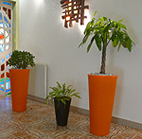 Plante d'intérieure, poterie, décoration d'intérieure Mézériat Nature & Concept 01